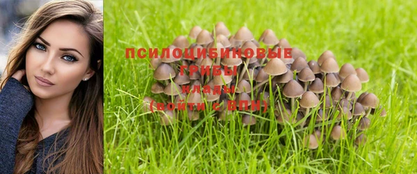 эйфоретик Нефтекумск
