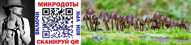 МЕГА как зайти  Азнакаево  Галлюциногенные грибы Cubensis 